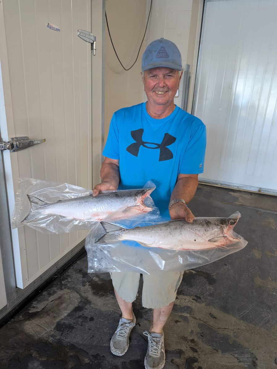 Sockeye Salmon - H/G Frozen Vac Packed - BC WILD