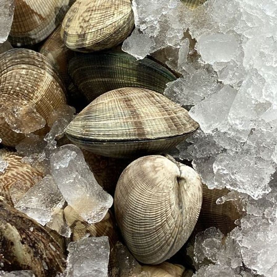 Manilla & Littleneck Clams - out of stock until March 11