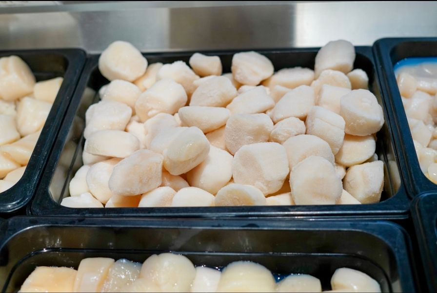 Sea Scallops