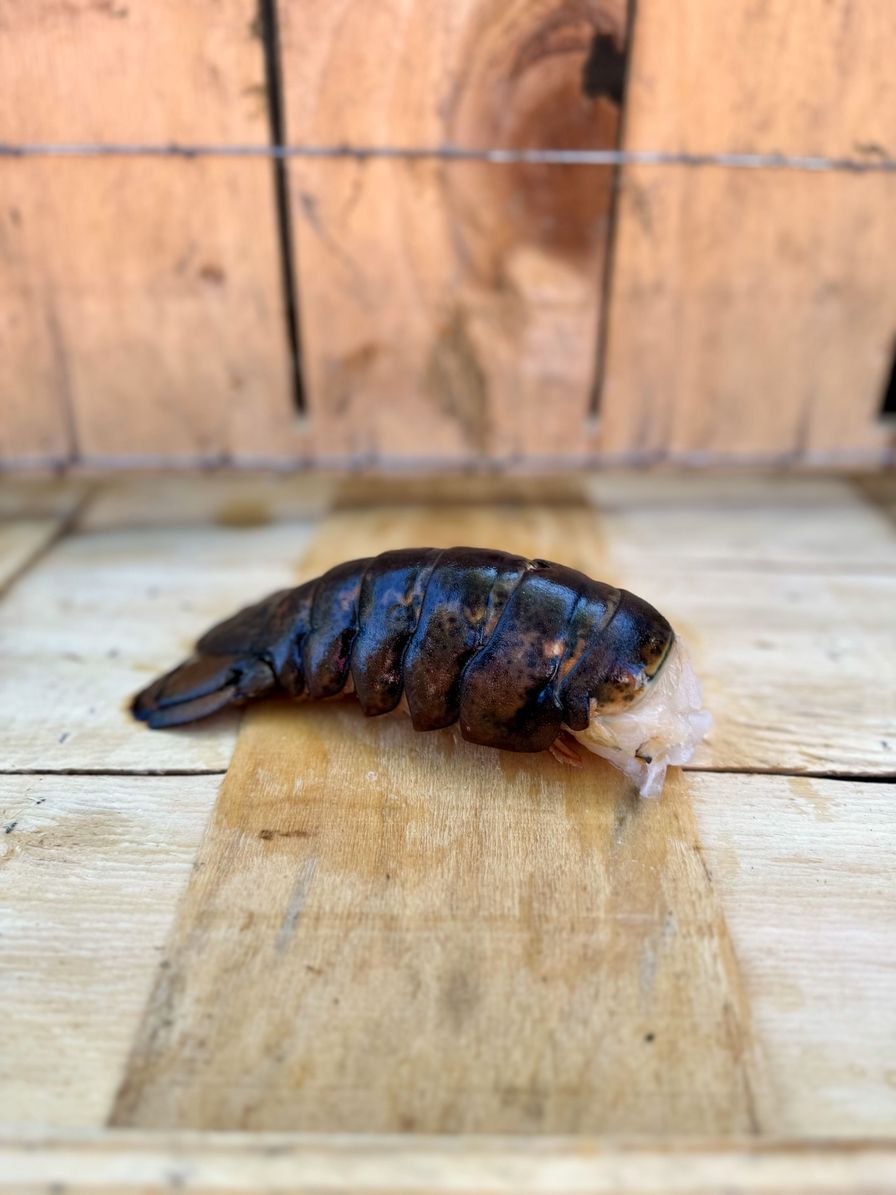 Lobster Tail 6/7oz