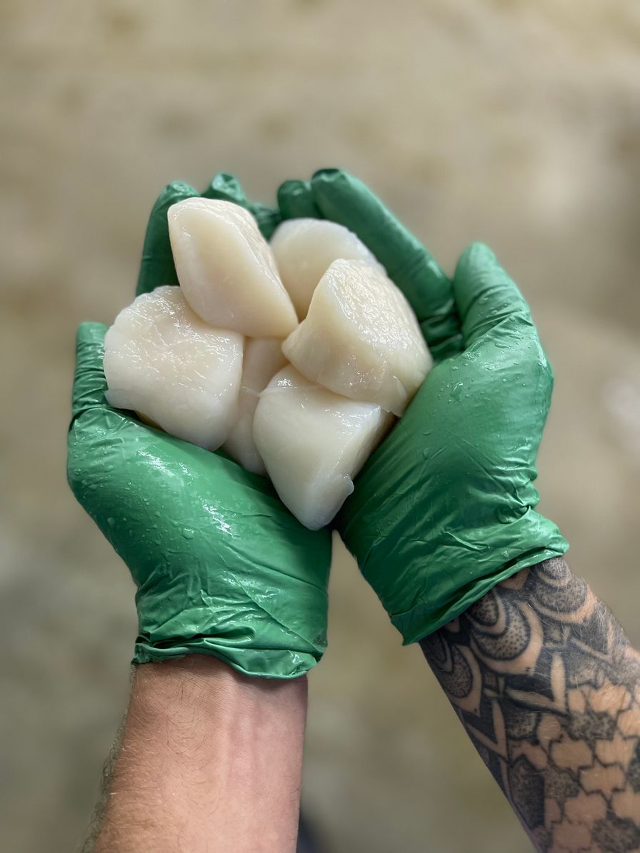 Jumbo U/10 Sea Scallops - FRESH - 8LB BUCKET