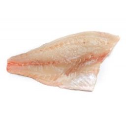 Madai - Sashimi Grade Japanese Portions (5-6 oz)