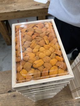 Uni Sea Urchin 150g Japan