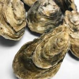 Small Premium Pacific Oysters