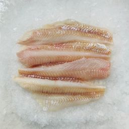 Icelandic Cod Fillets - Frozen VP