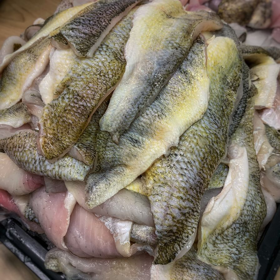 Yellow Perch Wild Fillets - 6-12oz FROZEN IQF - 10LB MASTER CASE