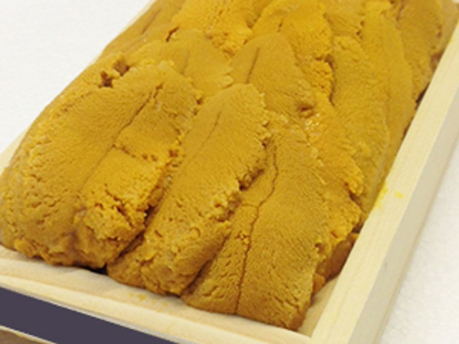 UNI - SEA URCHIN PACK AAA