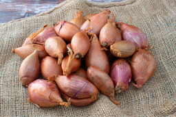 Shallots 