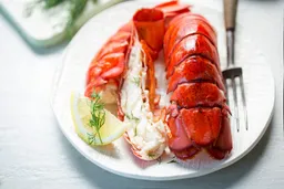 Frozen Lobster Tail 5 OZ (10 LB BOX)