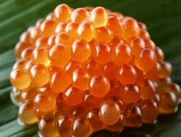 Frozen Ikura Chum (Salmon Roe) 2.2 LB