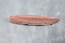 Frozen Albacore Tuna Loin 