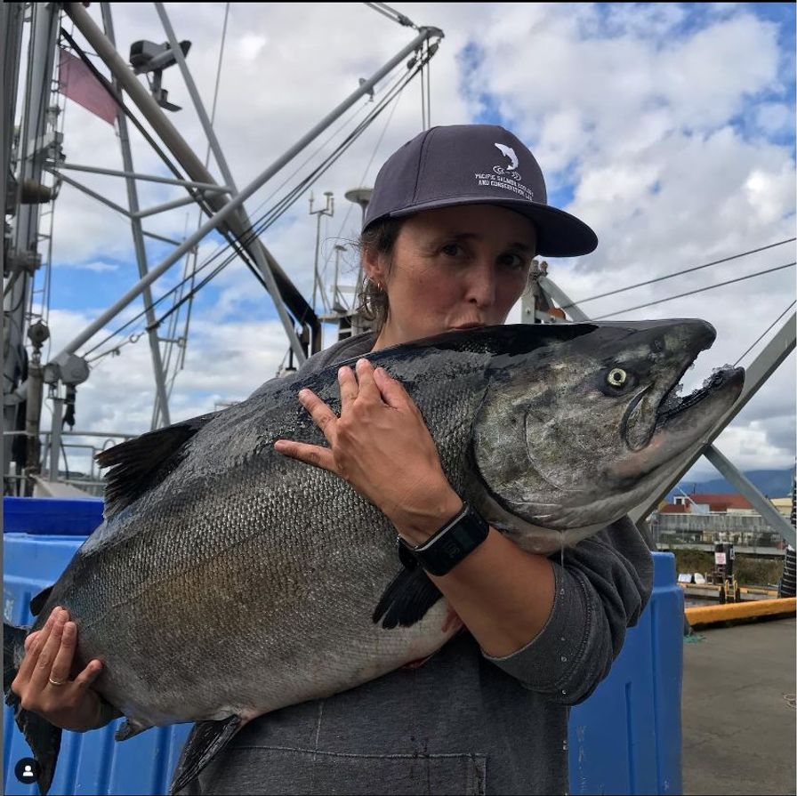 Chinook salmon - FRESH PRESALE - BC Wild