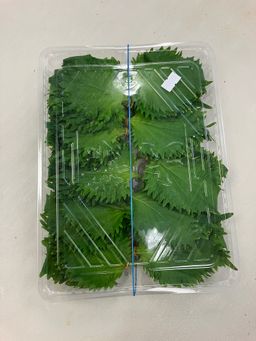 Ohba – Shiso Leaf 