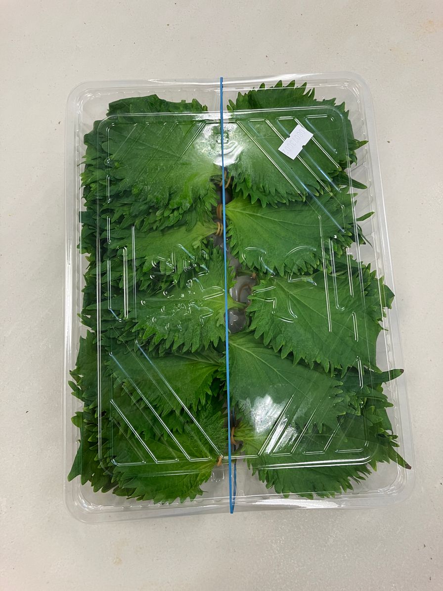 Ohba – Shiso Leaf 