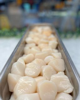 Sea Scallops 10/20ct