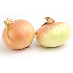 Texas Sweet Onions