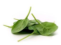 Spinach-