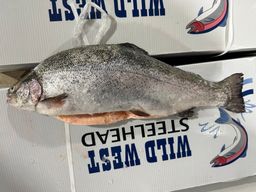 STEELHEAD HEAD ON Gutted Farmed 4-6lb DIEFENBAKER Fresh