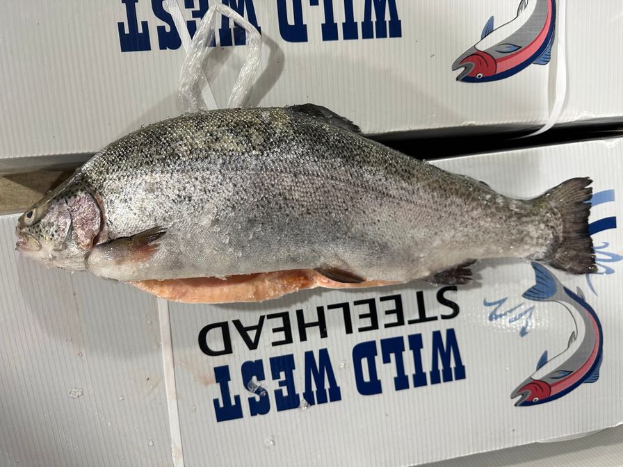 STEELHEAD HEAD ON Gutted Farmed 4-6lb DIEFENBAKER Fresh