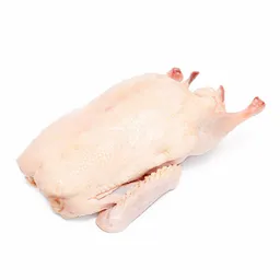 Fresh Whole Muscovy Duck