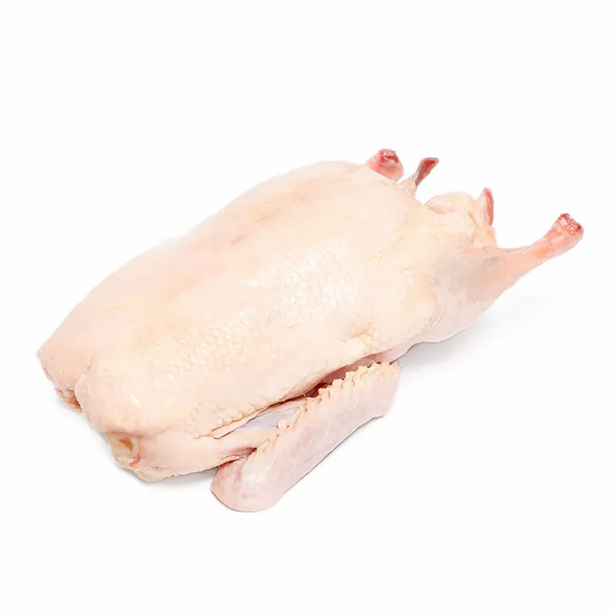 Fresh Whole Muscovy Duck