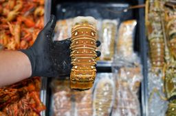 Lobster Tail
