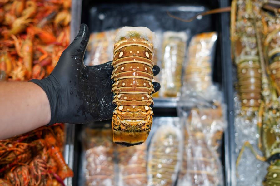 Lobster Tail