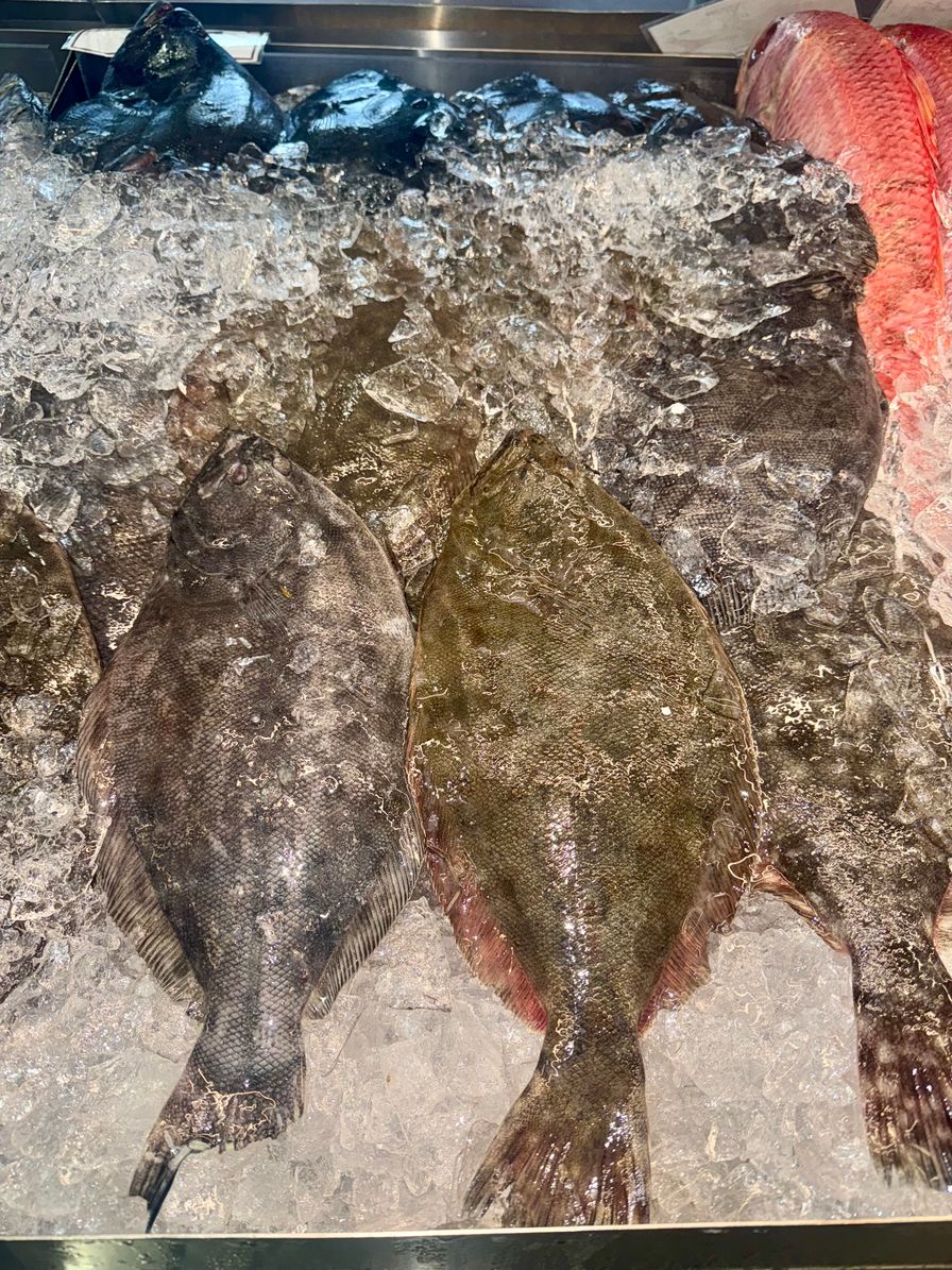 Flounder