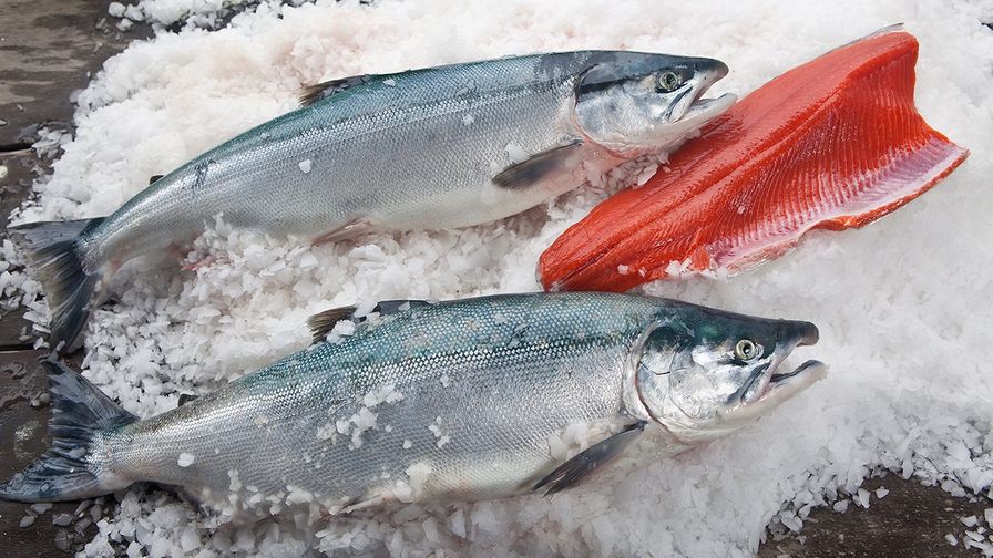 Wild Sockeye Salmon