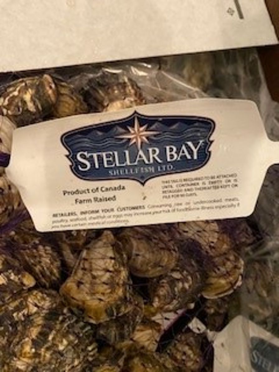 Oysters Kusshi