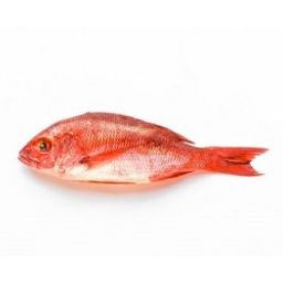 Snapper - Red Whole (1-2 lbs)