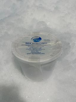 Scallops ATLANTIC MEAT DRY U/8 (4lb Tub) Boston Oceanwise MSC-C-50912 FRESH (pre-order)