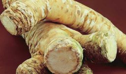 Fresh Horseradish root