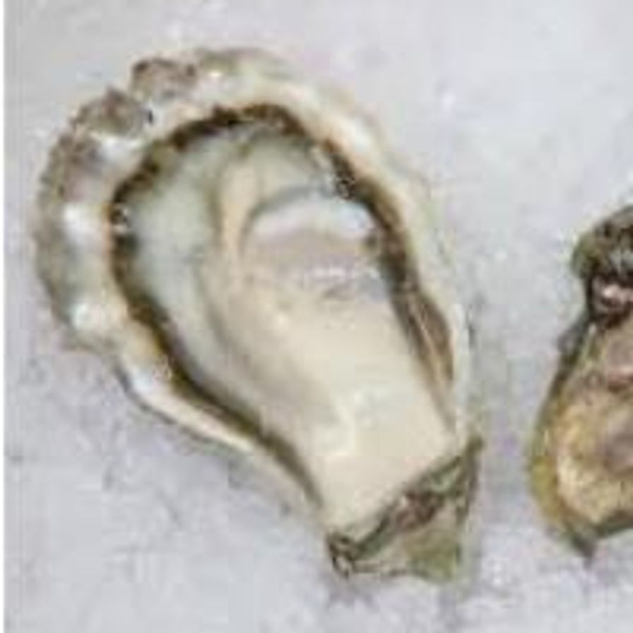 Atlantic Oysters