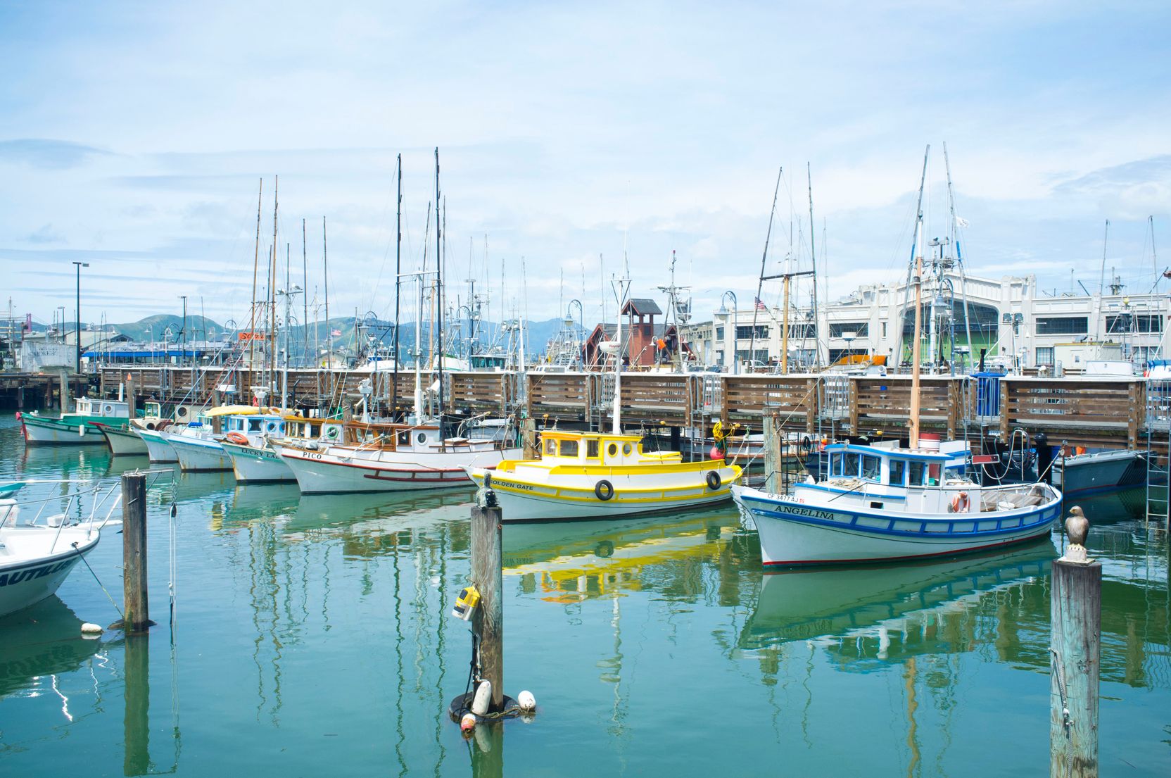 How to buy seafood off the boat (dock sales) — Monterey Bay