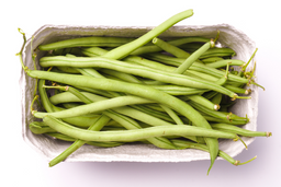 Haricot Vert