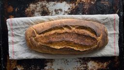 Sourdough Bread