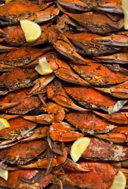 Steamed & Chilled Blue Crabs (Mixed Medium Males and Females)
