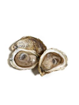 Oysters - DEPORATED P.E.I. Salt Grass Oyster (60 pcs)