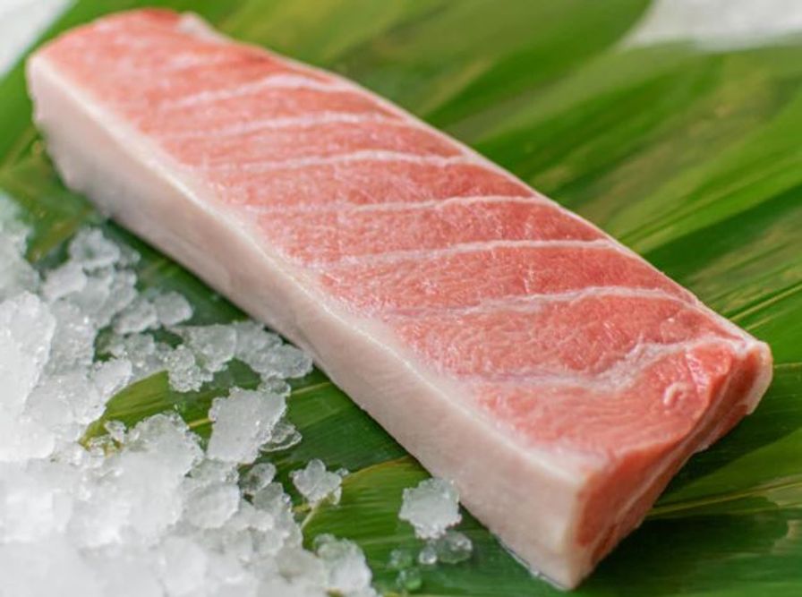Daily Seafood Tuna Wild P.E.I. Bluefin Fresh Otoro Tuna Belly (57 oz)