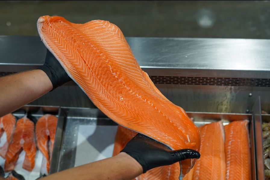 Salmon