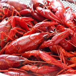 Cooked Cajun Spiced Crawfish - FROZEN