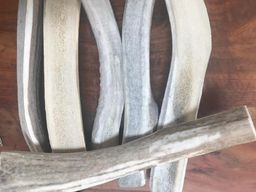 Elk Antler split