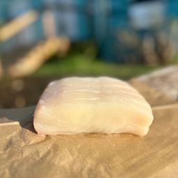 Halibut
