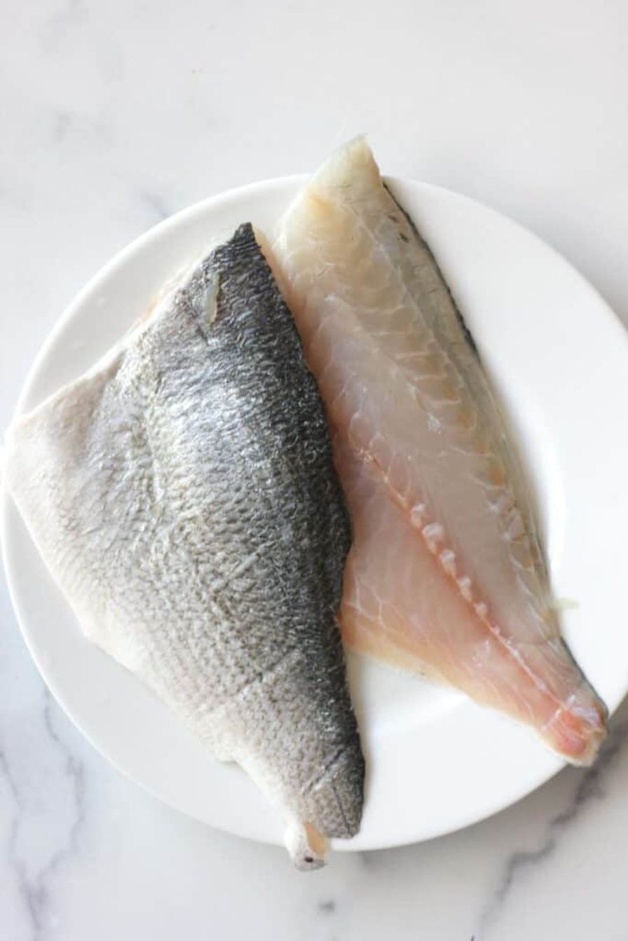 Sea Bream, Dorada, Orata Fillet