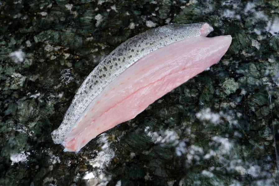Speckled Trout