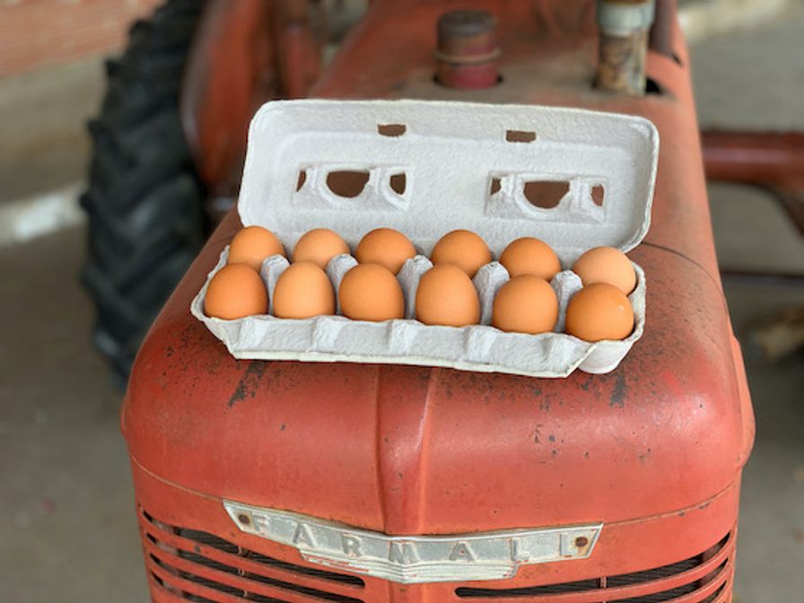 One Dozen Chicken Eggs