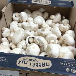 Mushrooms