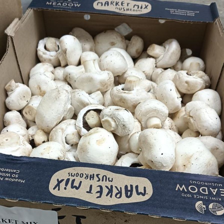 Mushrooms