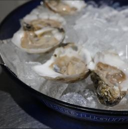 Oysters